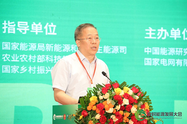 國家電網(wǎng)有限公司副總經(jīng)理陳國平致辭