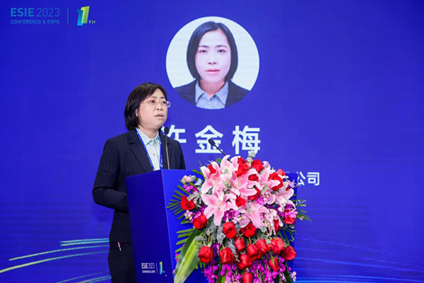 寧德時代新能源科技股份有限公司總工程師許金梅