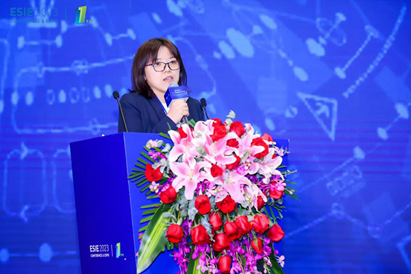 中關村儲能產(chǎn)業(yè)技術聯(lián)盟副秘書長、研究總監(jiān)岳芬